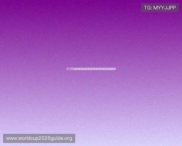 2026世界杯伊朗新西兰比赛中后防线的组织结构与防守策略深度解析